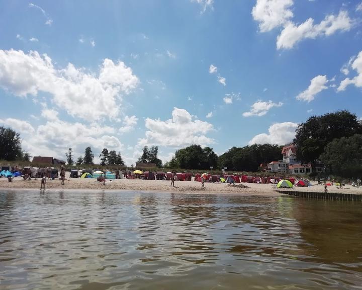 Stranddistel Kolpinsee